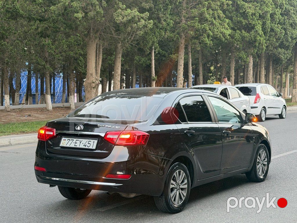 GWM (Great Wall Motor) Voleex C30, 1.5 L, 2019 il, 214 444 km — Avtomobillər, Sumqayıt (10)