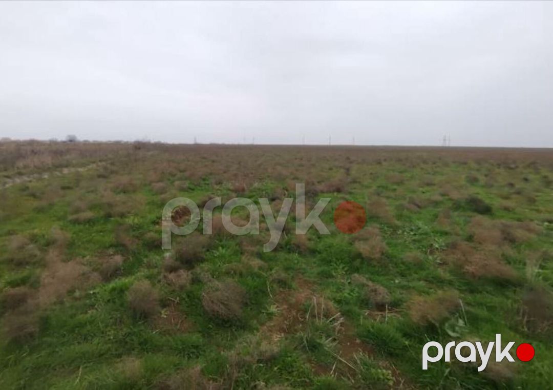 Satılır torpaq 2312 sot — Torpaq, Biləsuvar (3)