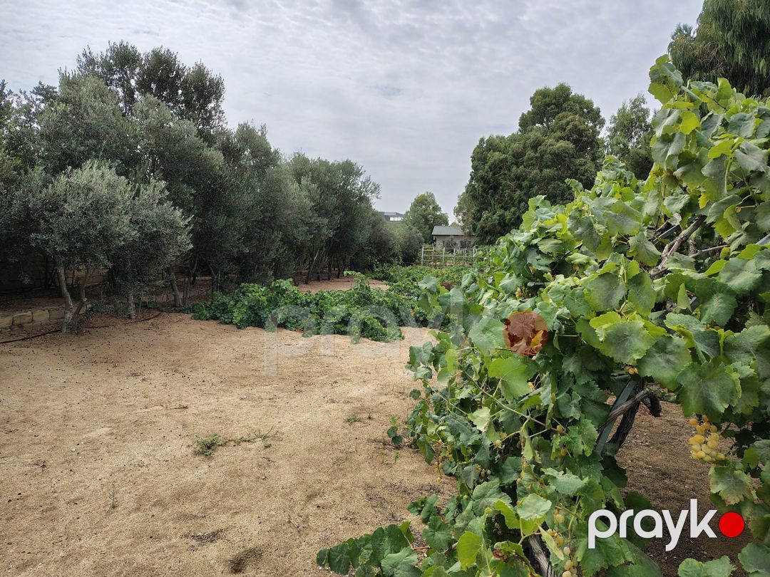 Satılır torpaq 12 sot — Torpaq, Bakı (3)