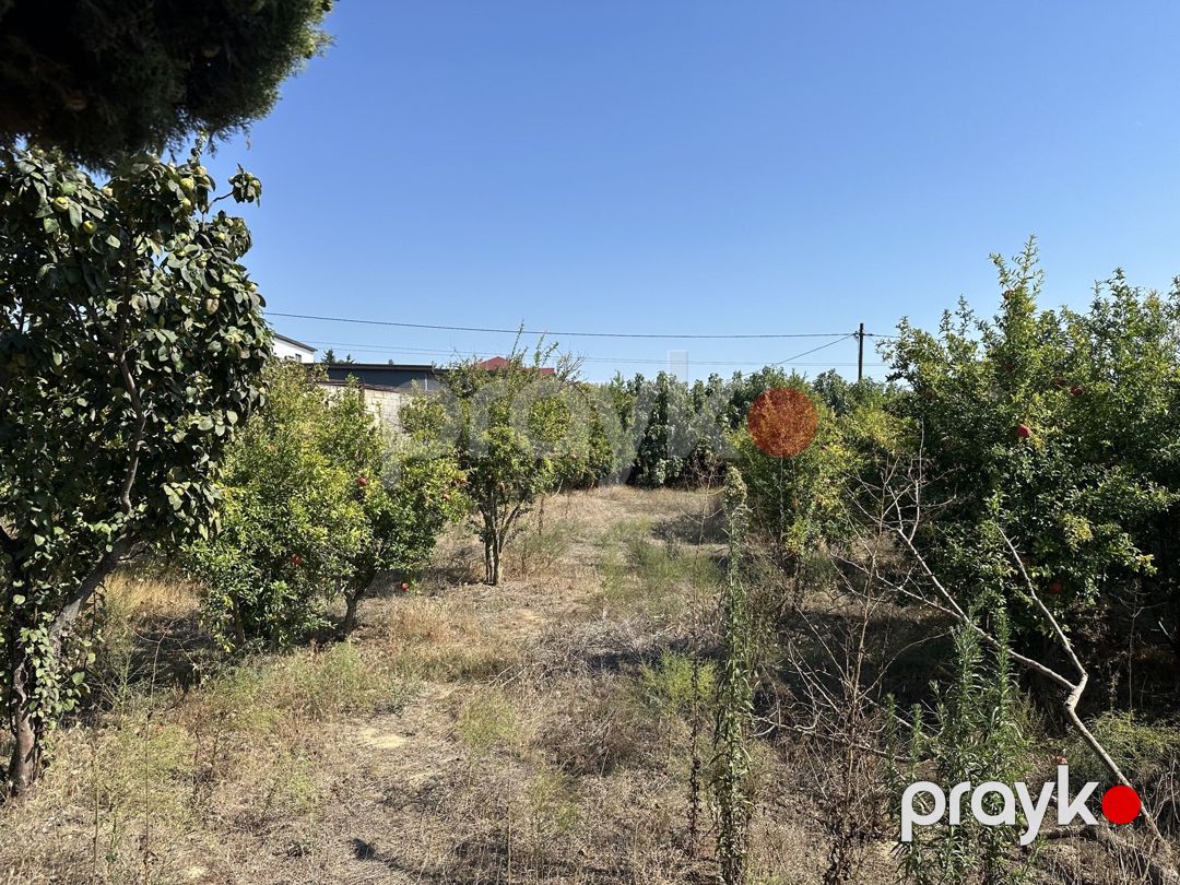 Satılır torpaq 12 sot — Torpaq, Bakı (7)