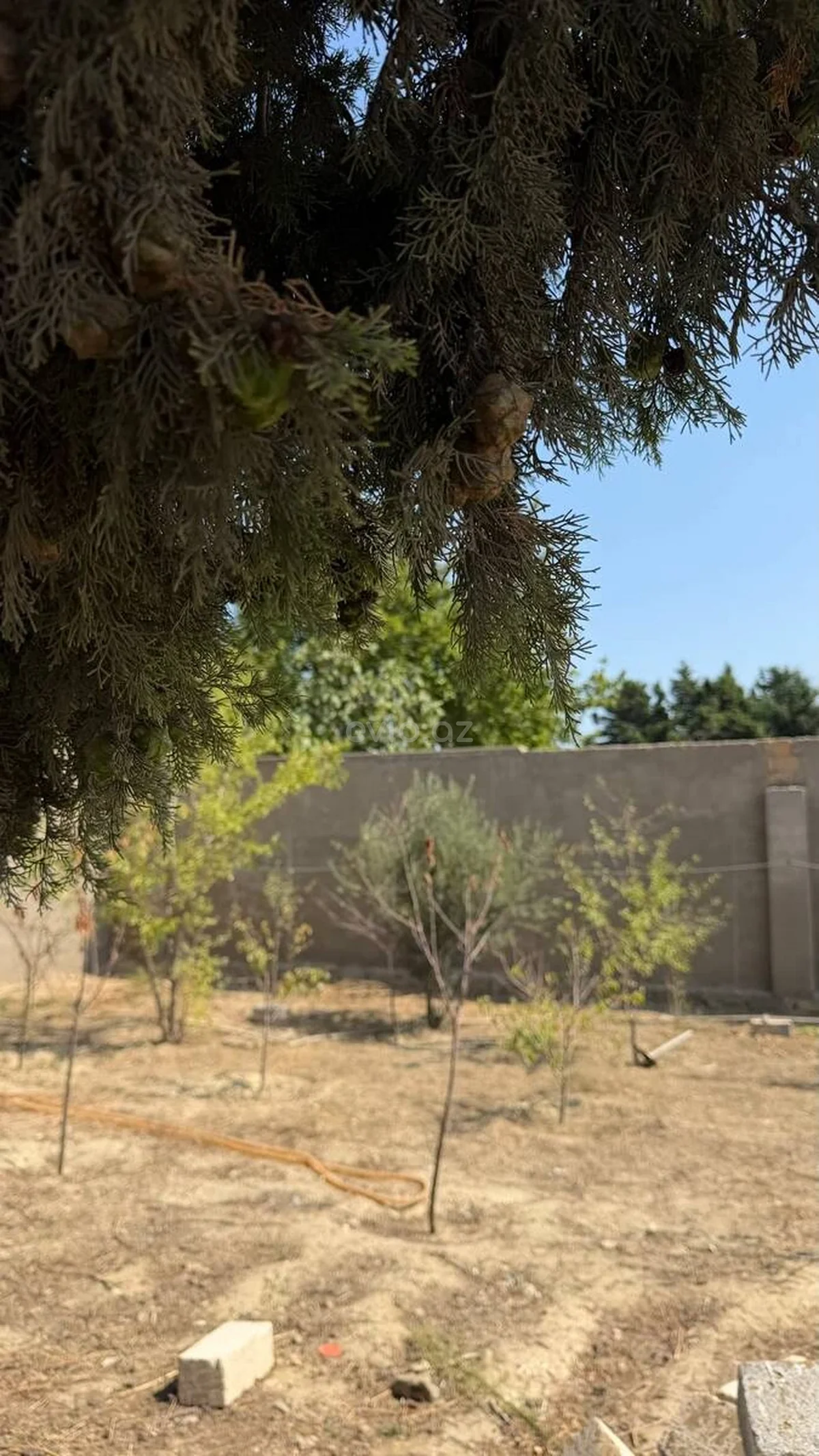 Torpaq sahəsi satılır Görədildə — Torpaq, Abşeron (2)