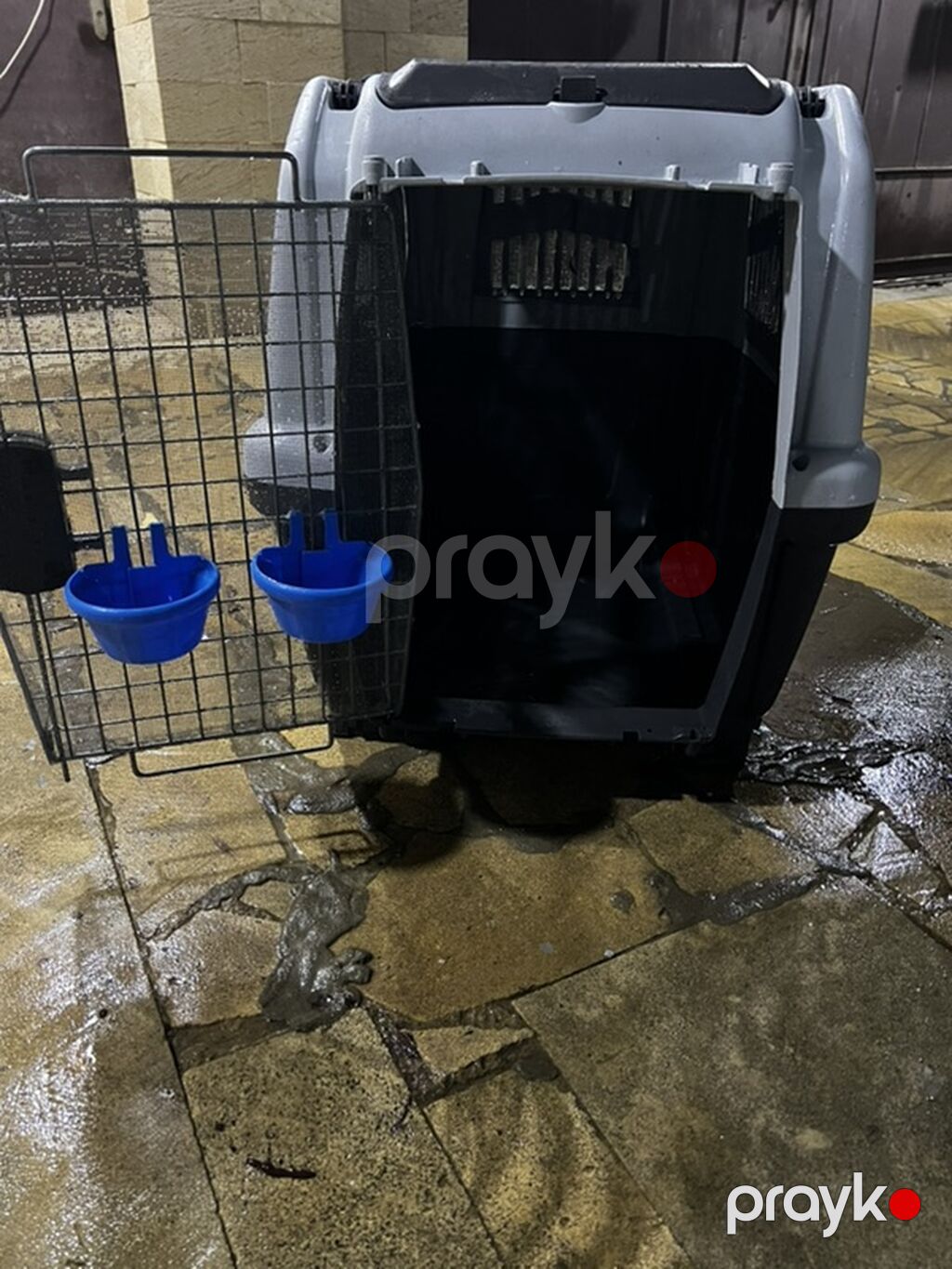 Böyük ölçülü heyvan daşıma konteyneri (təyyarə/səyahət üçün uyğun — Daşıyıcılar və çantalar, Digah (4)