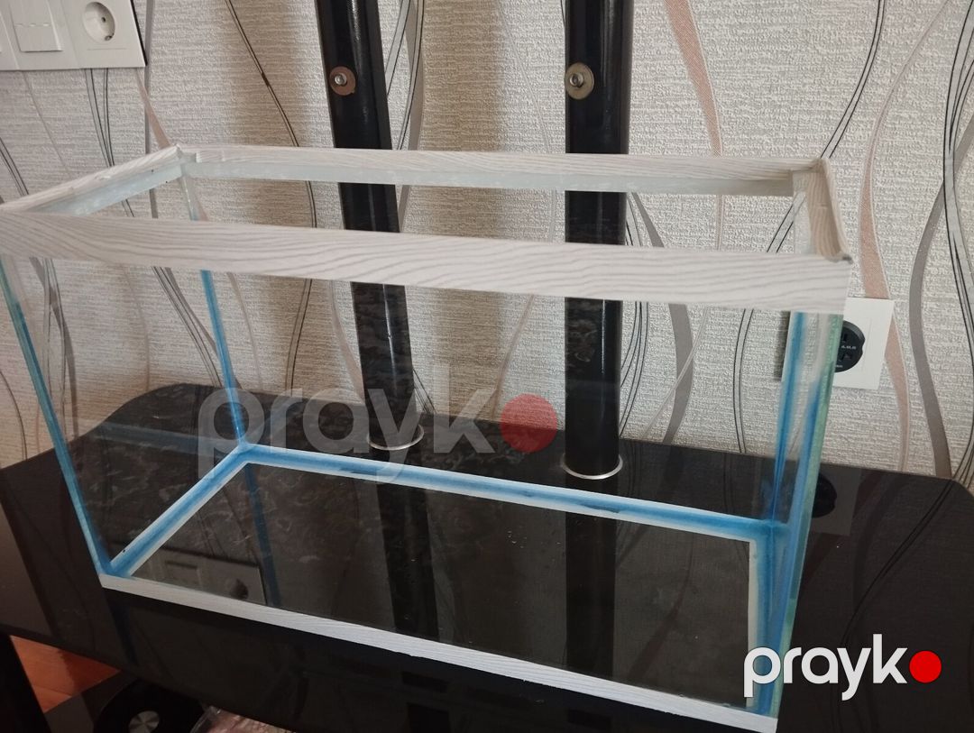 Akvarium — Akvariumlar və balıqlar, Bakı (9)