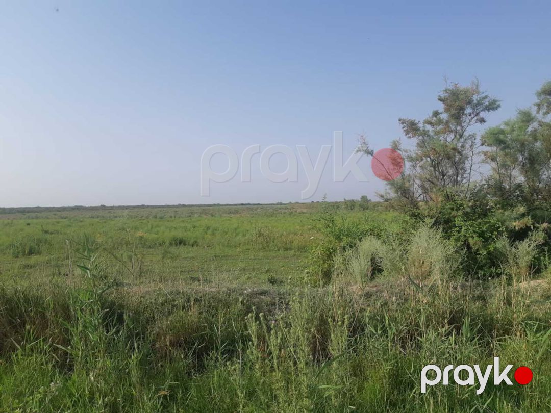 Satılır torpaq 44051.2 sot — Torpaq, Ağsu (2)
