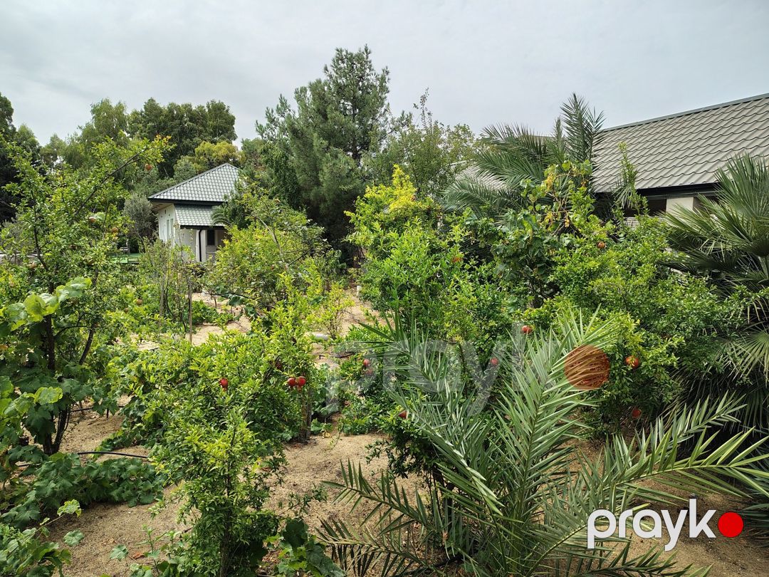 Satılır 7 otaqlı həyət evi/bağ evi 170 m² — Ev, villa, Bakı (4)