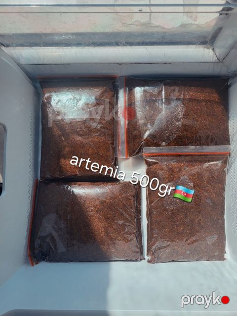 Dondurulmuş artemia — Bakı