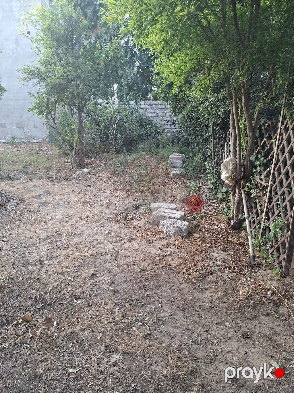 3 sot, Tikinti, Kupça (Çıxarış) — Torpaq, Digah (2)