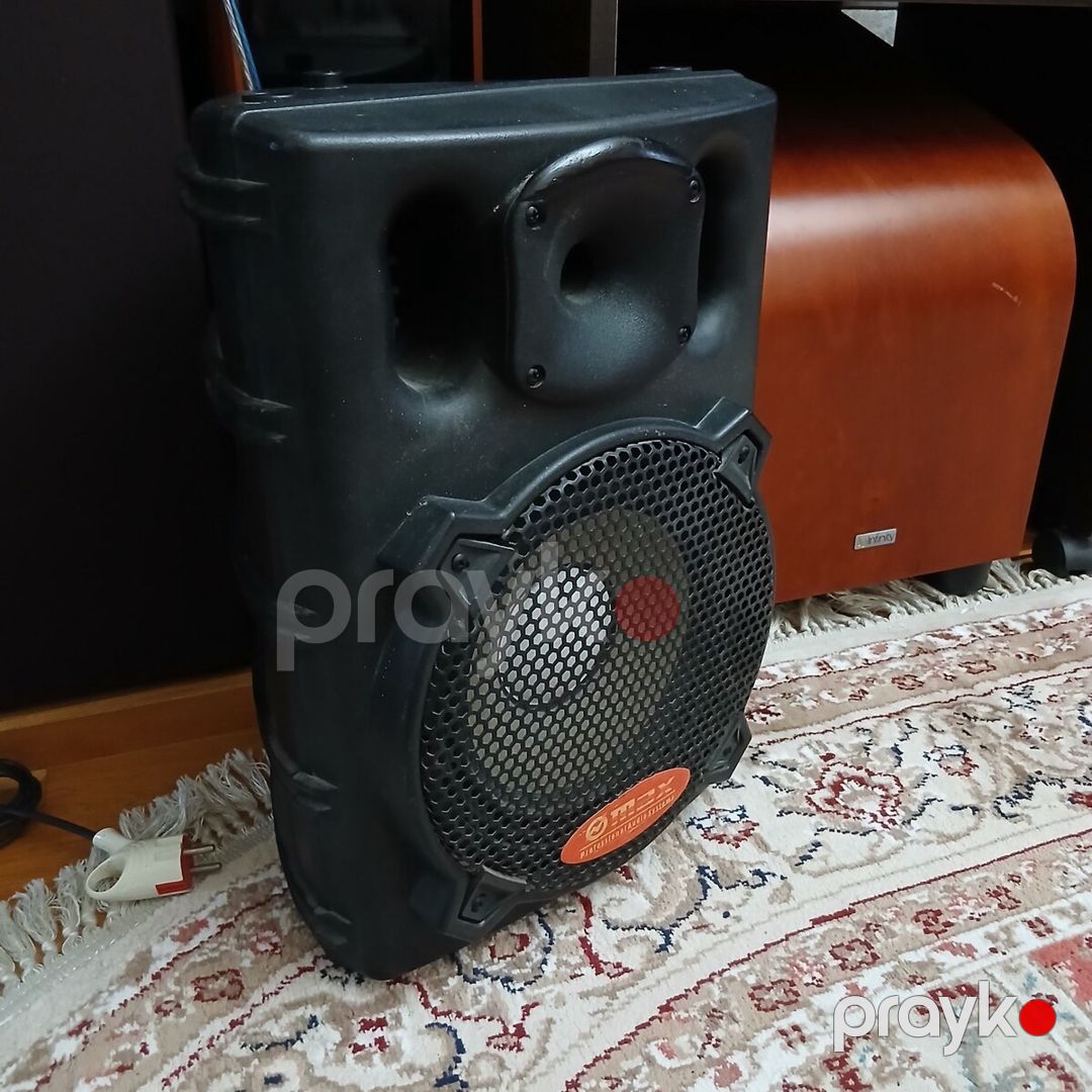 Dinamik Max pasiv 10 duym model — Səs texnikası, Bakı (2)