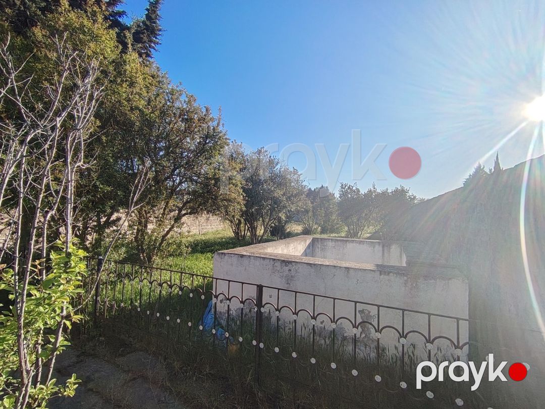 Satılır 4 otaqlı həyət evi/bağ evi 150 m² — Ev, villa, Bakı (10)