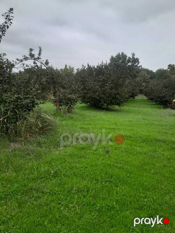 Satılır torpaq 40 sot — Torpaq, Qəbələ (7)