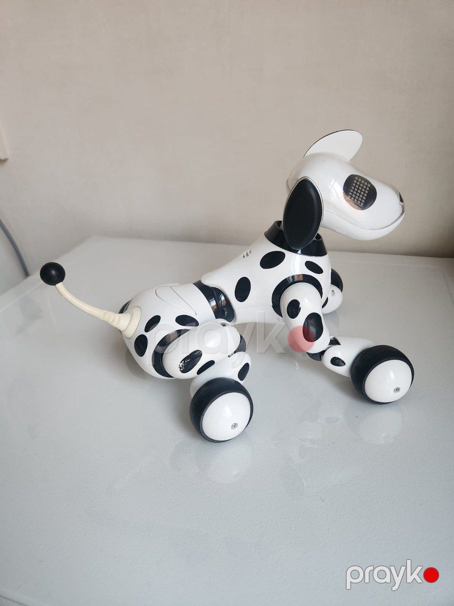 Robot it Zoomer — Oyuncaqlar, Bakı (3)