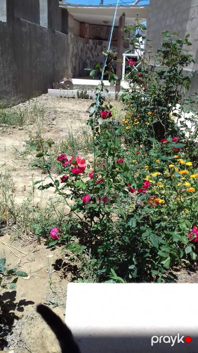 Satılır 5 otaqlı həyət evi/bağ evi 260 m² — Ev, villa, Bakı (3)