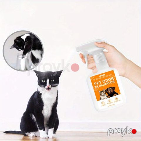 Ləkə və qoxuya qarşı sprey, 296 ml — Bakı