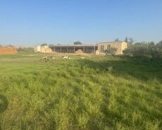 Torpaq Satılır Sumqayıt, Sumaqayitda Torpaq sahesi satilir, 200 sot — Torpaq, Sumqayıt (8)