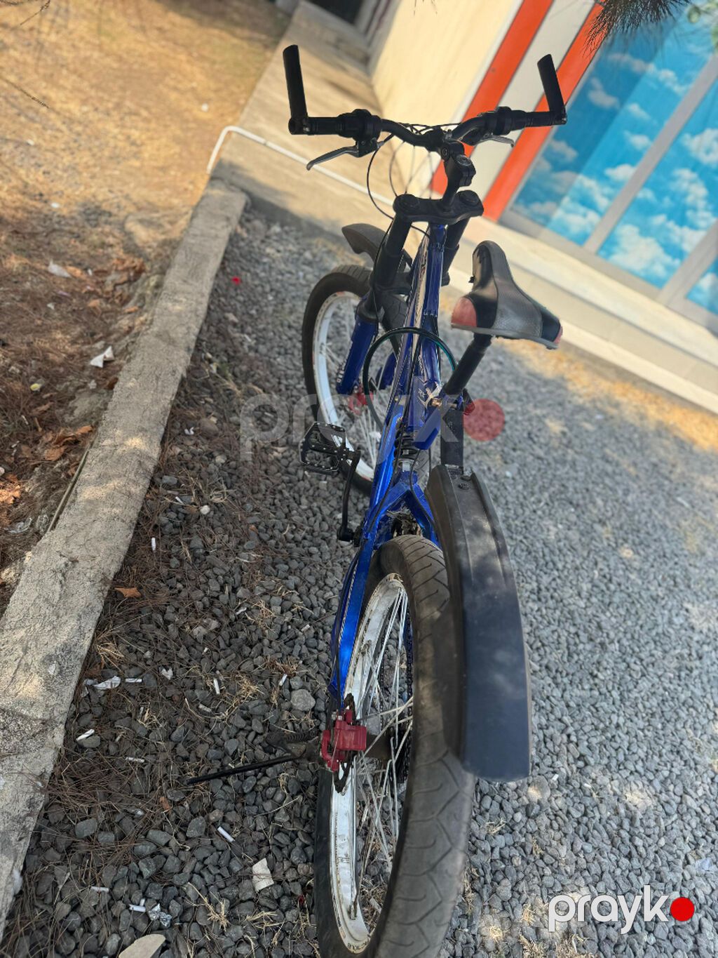 Olympia dağ velosipedi - Rəng: mavi, loqotip və dekorativ yazılarla — Dağ velosipedləri, Lənkəran (2)