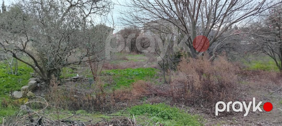 Satış: Torpaq, 3 sot, Xətai rayonu — Torpaq, Bakı (2)
