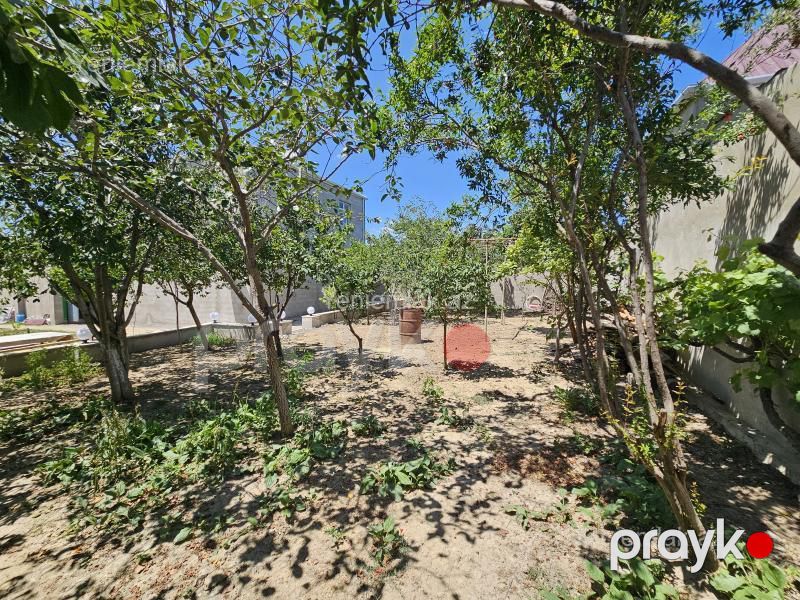 Satılır 5 otaqlı Həyət evi / Villa, 200 m², Saray — Ev, villa, Abşeron (2)