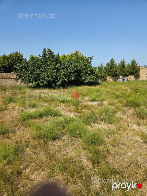 Satılır Torpaq sahəsi, 10 sot, Goradil — Torpaq, Abşeron (6)