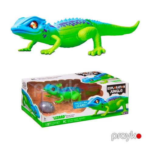 Radio ilə idarə olunan heyvan Kərtənkələ Exploration Jungle Lizard, yaşıl/göy, 3+ yaş — Bakı