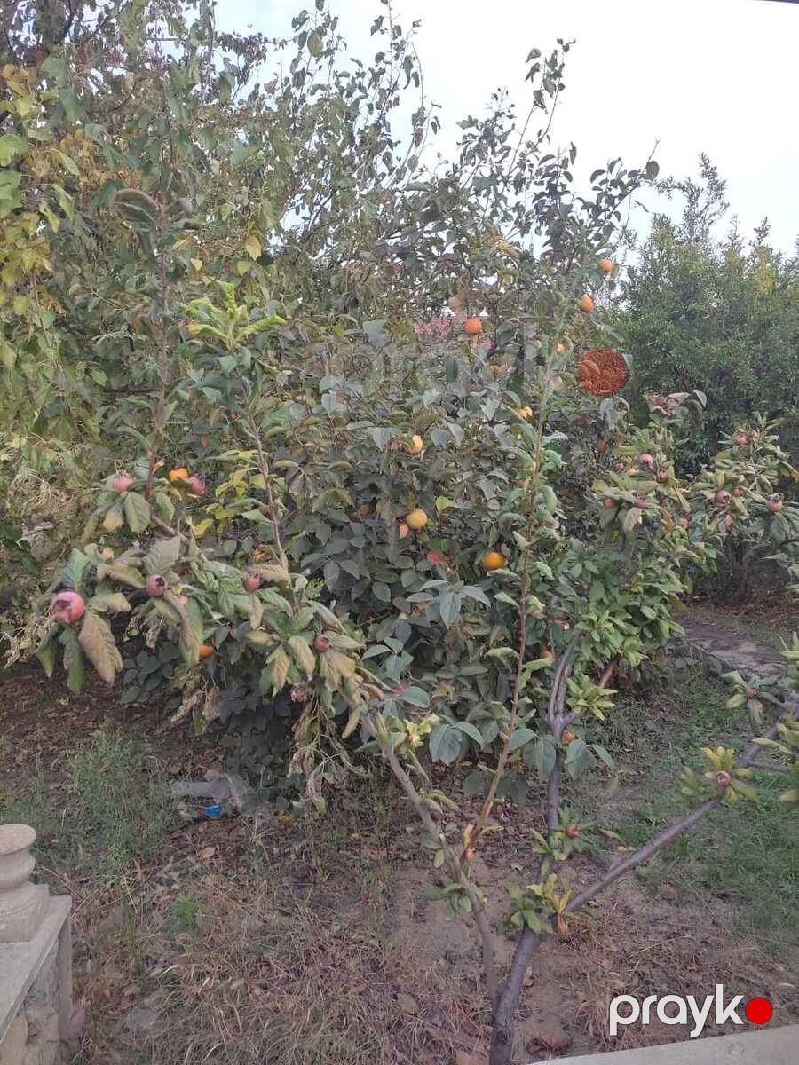 Satılır 4 otaqlı həyət evi/bağ evi 200 m² — Ev, villa, Bakı (9)
