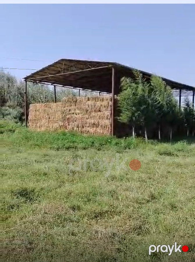 İstehsalat, 1000 m², Yeni Uluxanlı kəndi, Salyan — Daşınmaz əmlak, Salyan (9)
