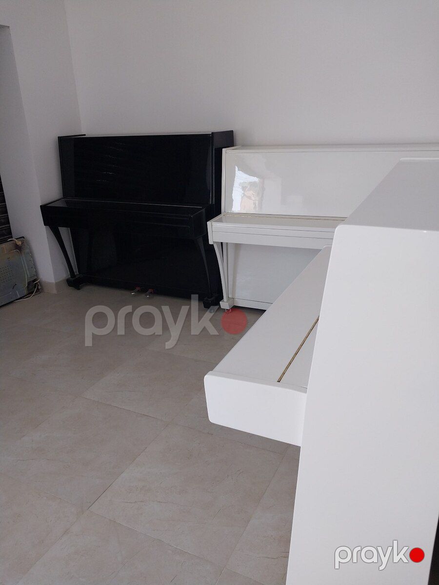 Piano — Musiqiə alətləri, Bakı (6)