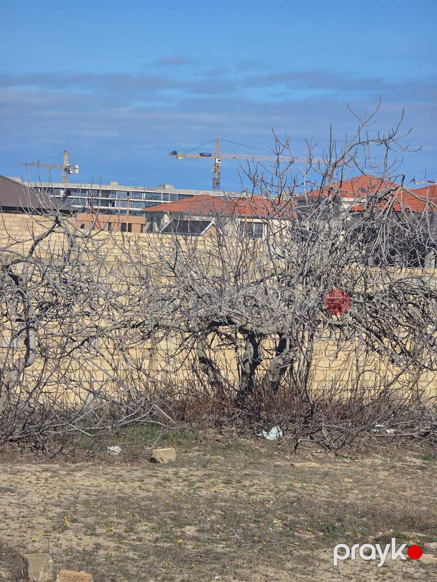 Satılır torpaq 24 sot — Torpaq, Bakı (11)