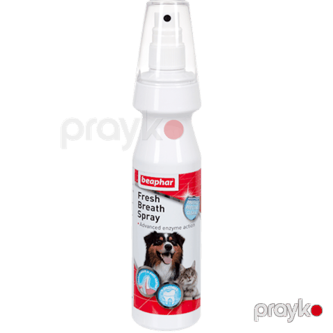 Sprey ağız boşluğu üçün Beaphar Fresh Breath Spray itlər və pişiklər üçün 150 ml — Bakı