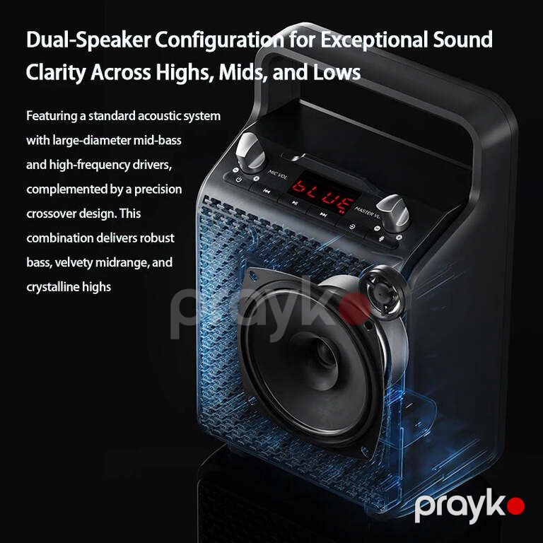 Portativ karaoke bluetooth dinamiki "Edifier PP205" — Səs texnikası, Bakı (8)