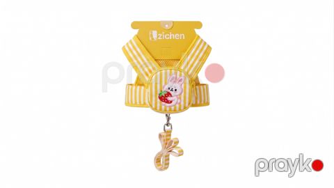 Qayış it/pişik üçün, parça 1 m, sarı, ölçü XS — Bakı