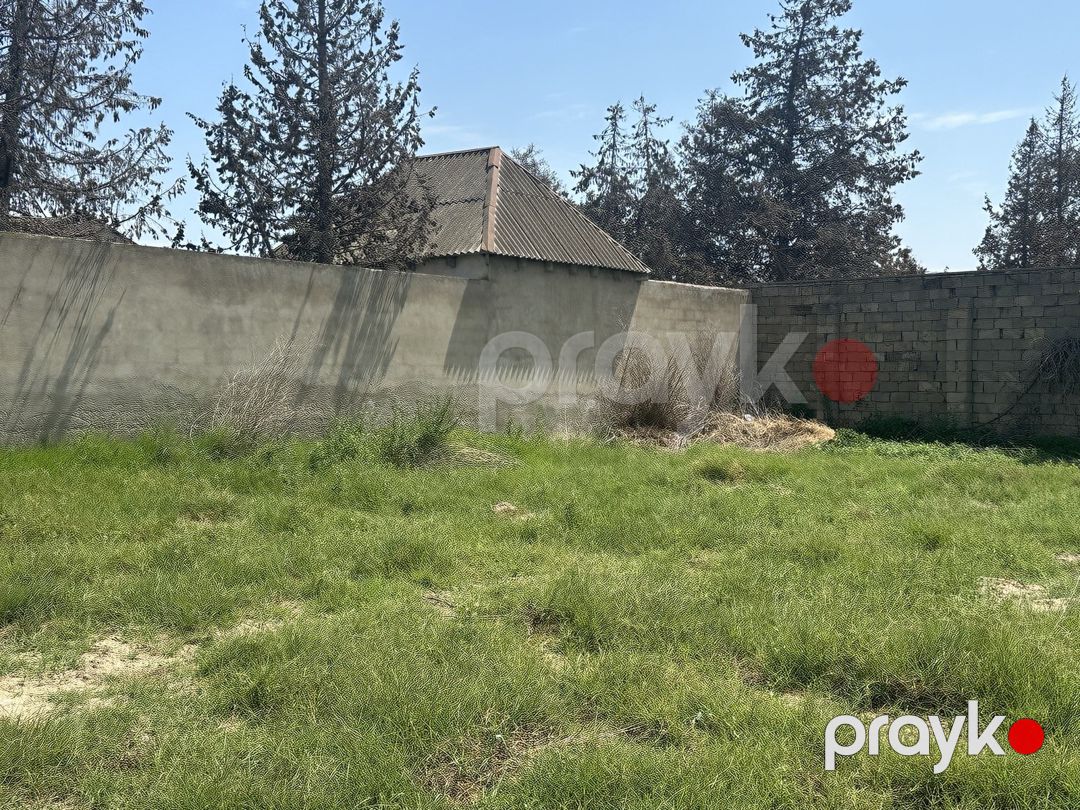 Satılır torpaq 3 sot — Torpaq, Bakı (5)
