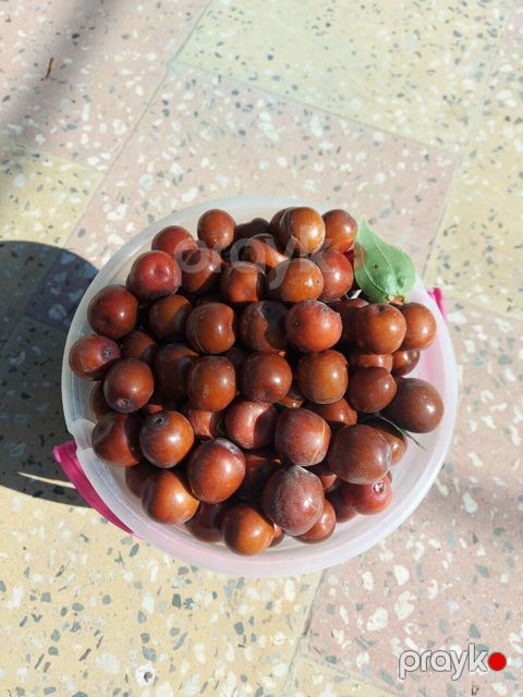 İnnab — Bakı