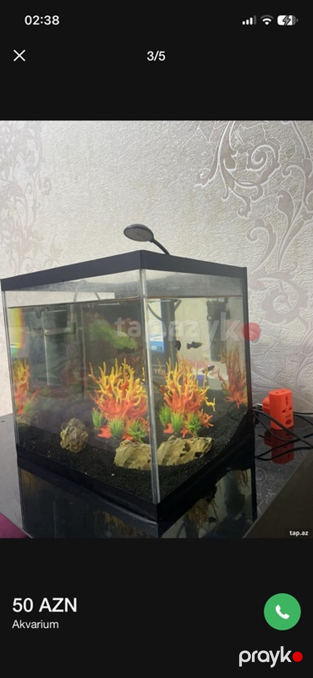 Dördbucaq akvarium, Balıqlarla birlikdə, 27 l — Akvariumlar və balıqlar, Bakı (3)