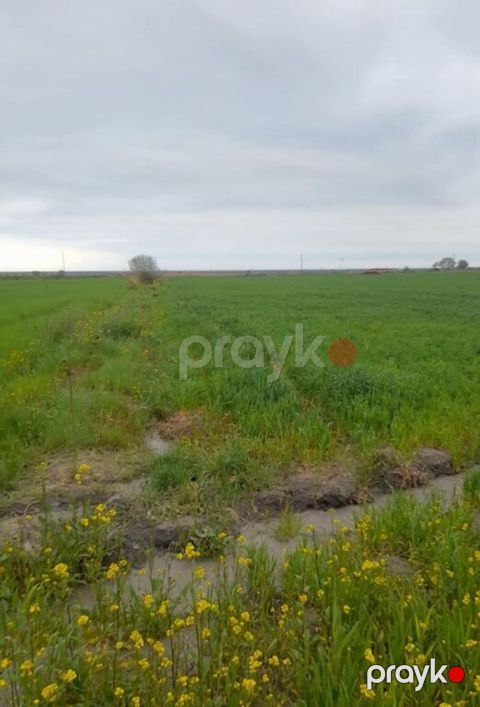 50 sot torpaq sahəsi, Şabran r — Şabran