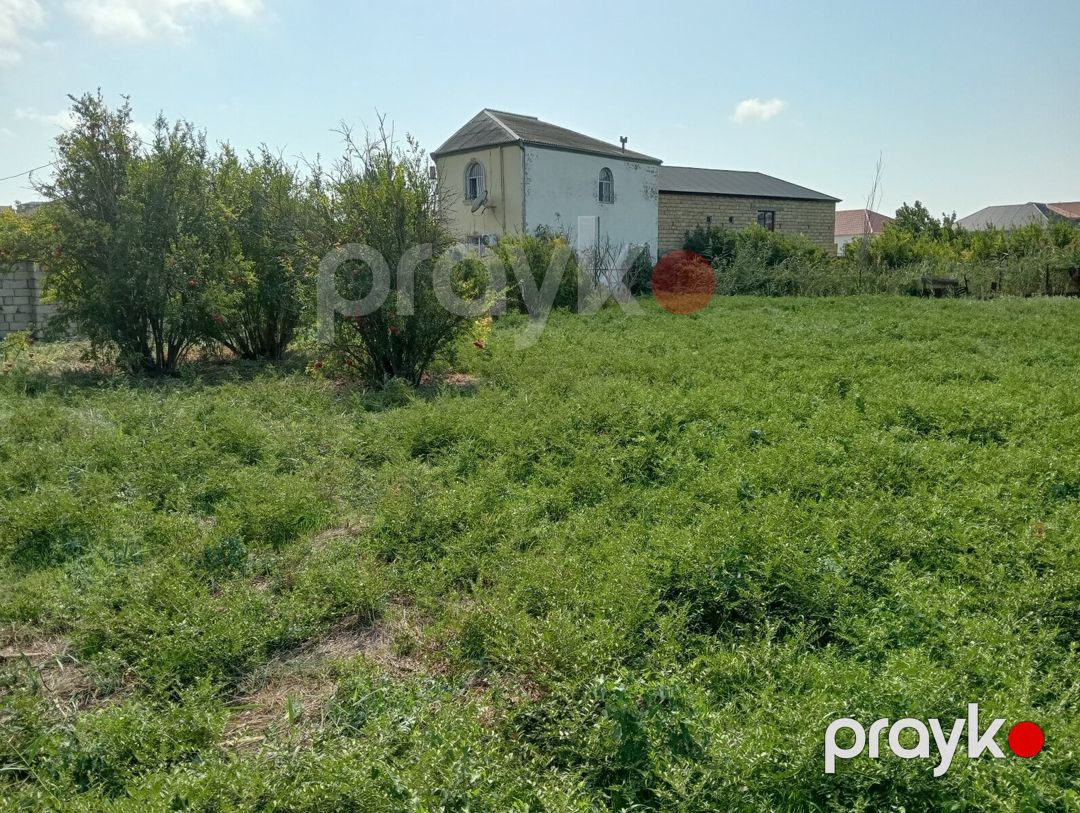 7 sot torpaq sahəsi, Novxanı qəs — Torpaq, Bakı (2)