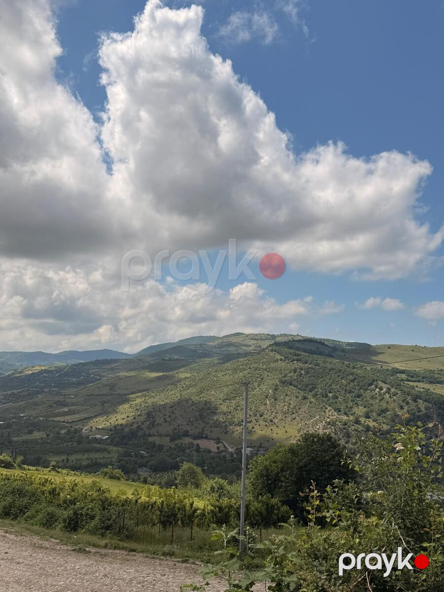 Satılır torpaq 48 sot — Torpaq, Quba (2)