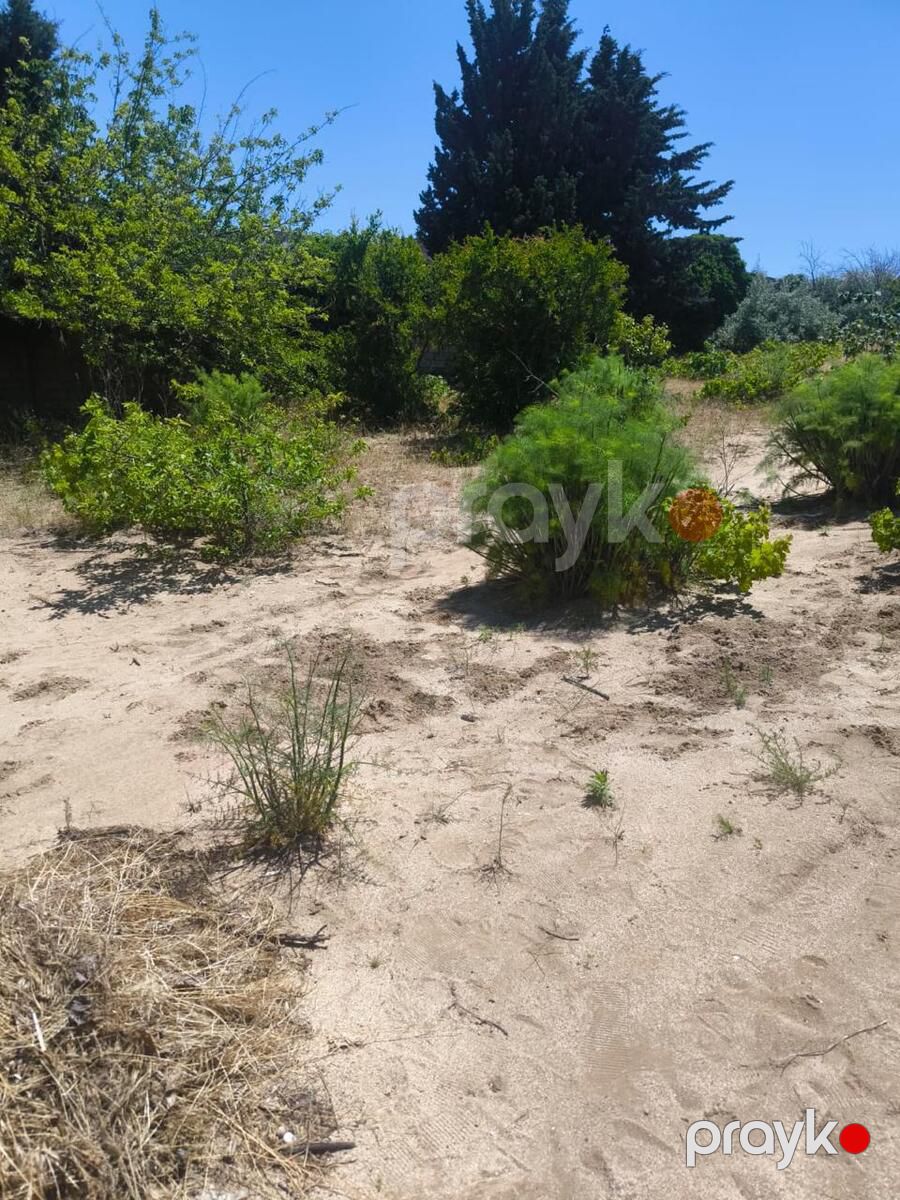 Satılır torpaq 5 sot — Torpaq, Bakı (2)