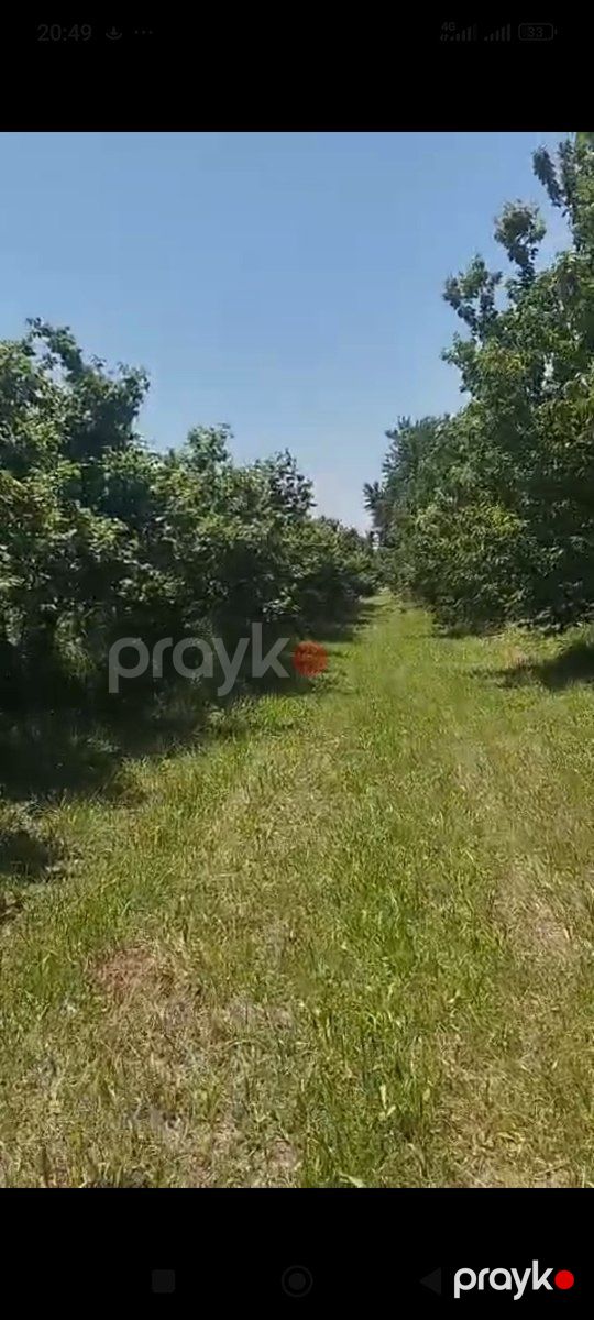 80 sot torpaq sahəsi, Xaçmaz r — Torpaq, Xaçmaz (2)