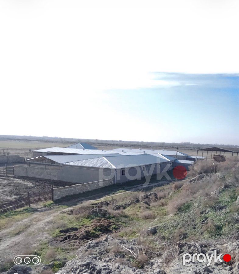 İstehsalat, 1000 m², Yeni Uluxanlı kəndi, Salyan — Daşınmaz əmlak, Salyan (2)