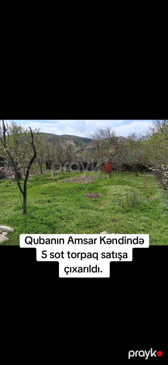 5 sot torpaq sahəsi, Amsar k — Torpaq, Quba (3)
