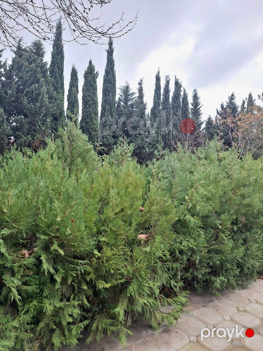 Satılır 7 otaqlı həyət evi/bağ evi 400 m² — Ev, villa, Bakı (4)