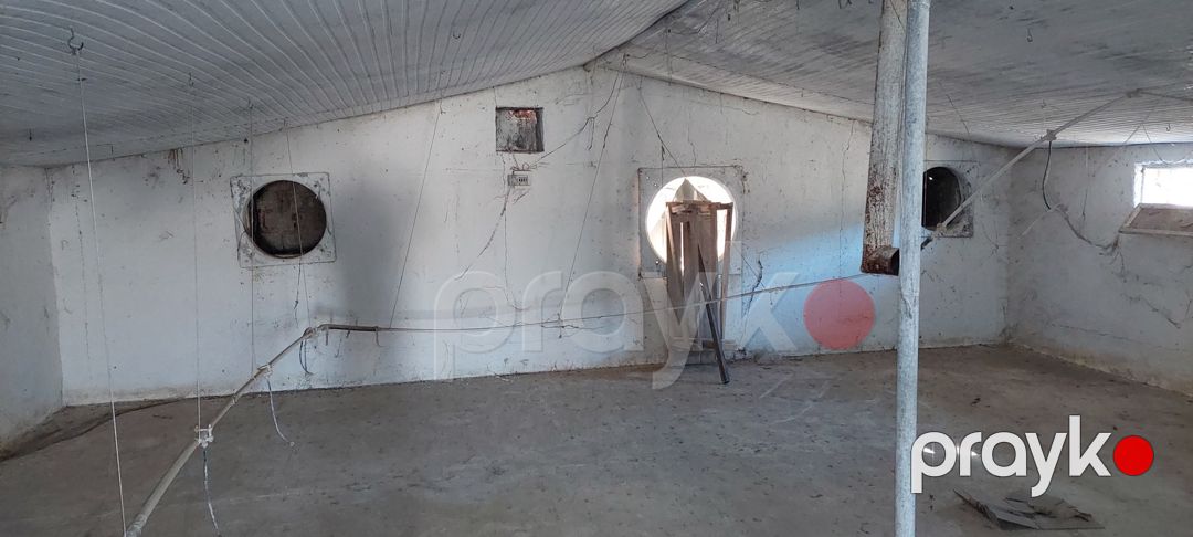 Satılır torpaq 10 sot — Torpaq, Şabran (7)