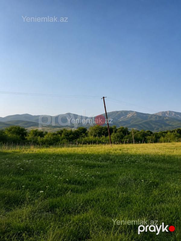 Satılır Torpaq sahəsi, 50 sot, İsmayıllı — Torpaq, İsmayıllı (4)
