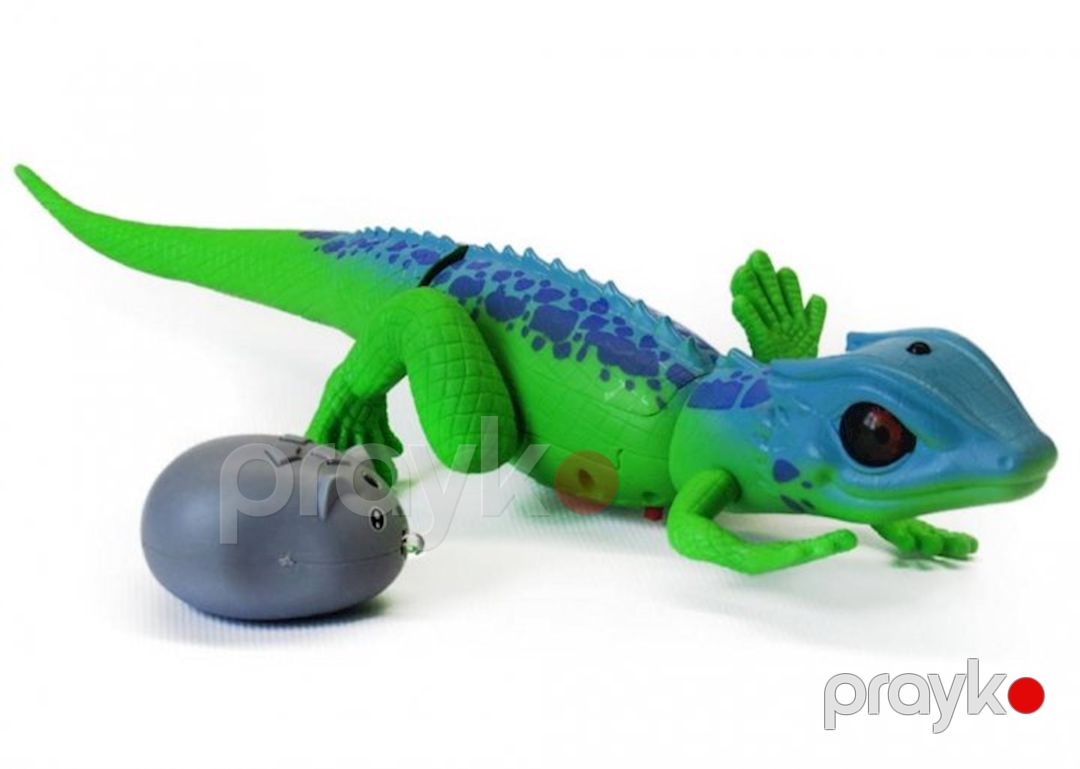 Radio ilə idarə olunan heyvan Kərtənkələ Exploration Jungle Lizard, yaşıl/göy, 3+ yaş — Mallar, Bakı (2)