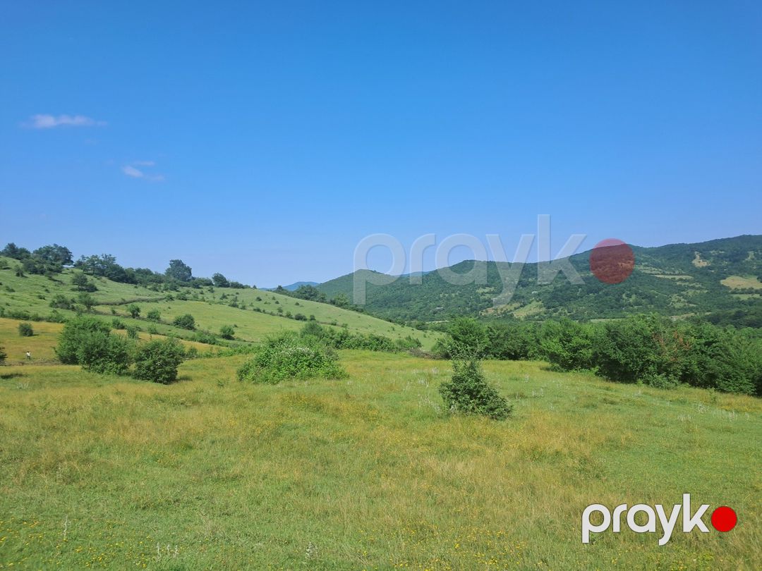14 sot torpaq sahəsi, Quba r — Torpaq, Quba (11)