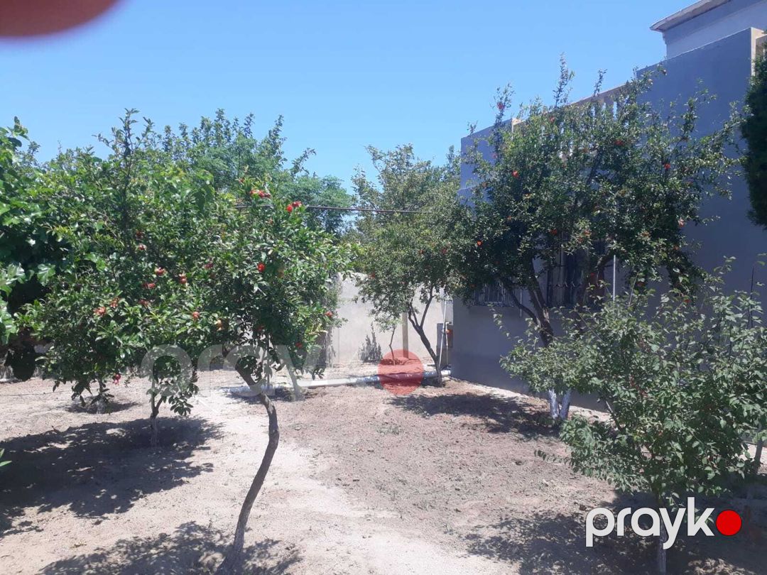 İcarəyə verilir 5 otaqlı həyət evi/bağ evi 250 m² — Ev, villa, Bakı (8)