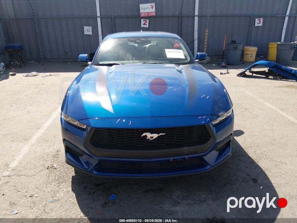 Ford Mustang, 2.3 L, 2024 il, 13 358 km — Avtomobillər (5)