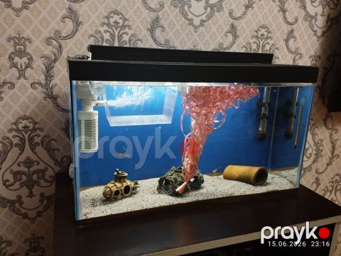 Dördbucaq akvarium, Balıqlarla birlikdə, 40 l, Ünvandan götürmə — Qobu