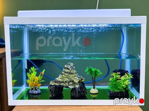 Akvaryum seti – ağ çərçivəli, üst qapaqlı, LED işıqlı Xüsusiyyətlər — Bakı