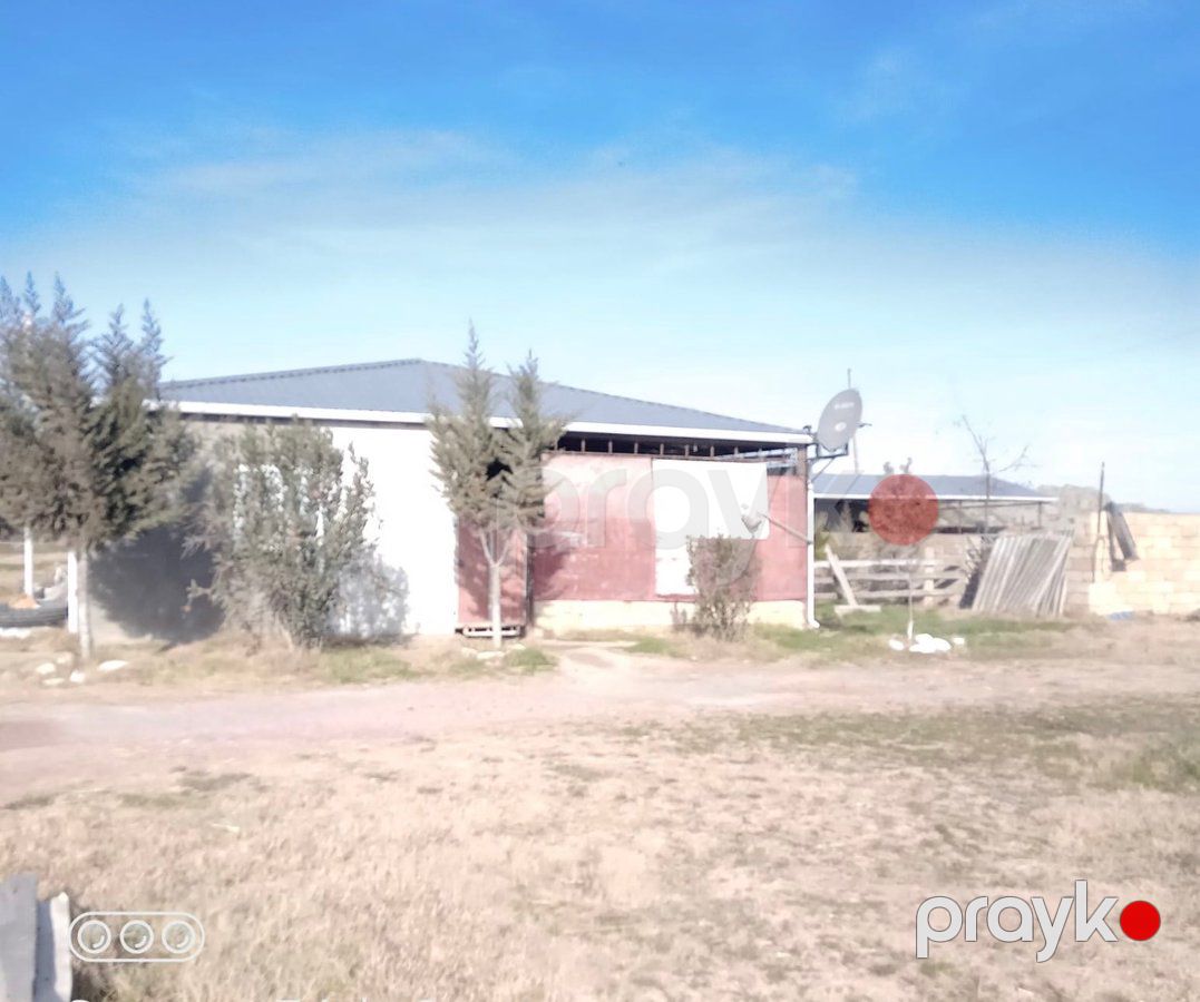 İstehsalat, 1000 m², Yeni Uluxanlı kəndi, Salyan — Daşınmaz əmlak, Salyan (5)